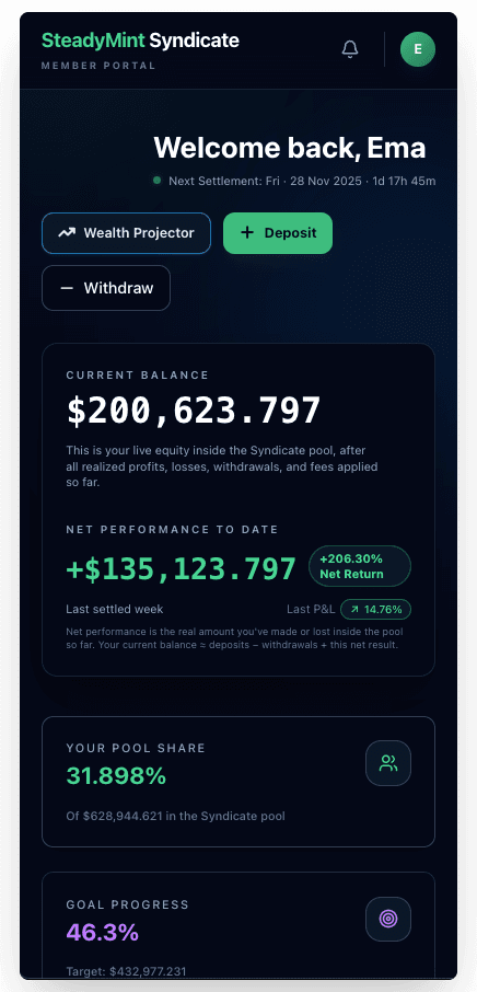 SteadyMint mobile dashboard preview